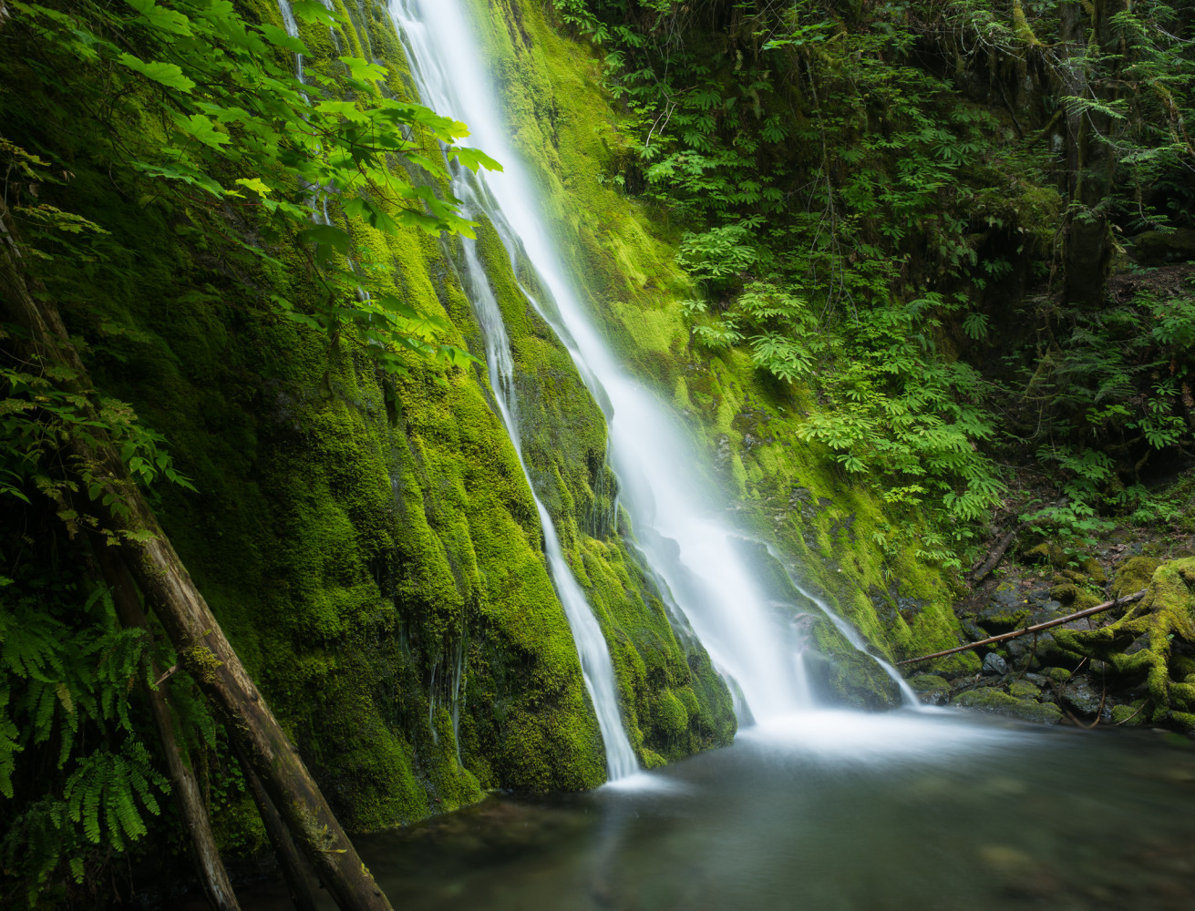 Justin Black ( Madison Creek Falls )